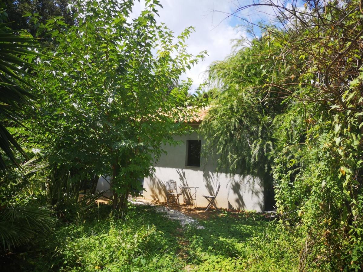 Villa Griseor Porto-Vecchio  Kültér fotó