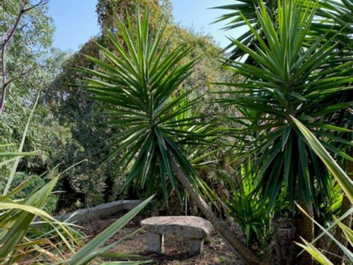 Villa Griseor Porto-Vecchio  Kültér fotó