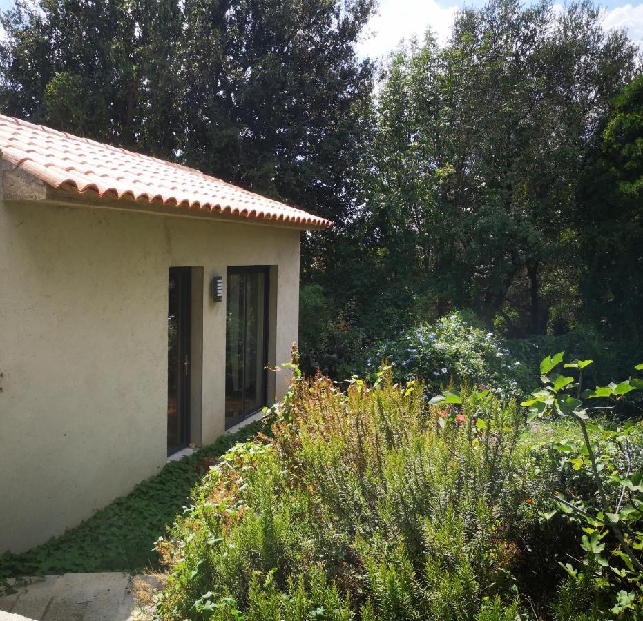 Villa Griseor Porto-Vecchio  Kültér fotó